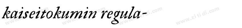 kaiseitokumin regula字体转换